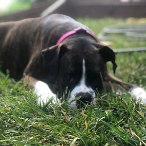 Meet your Posher, Laurie